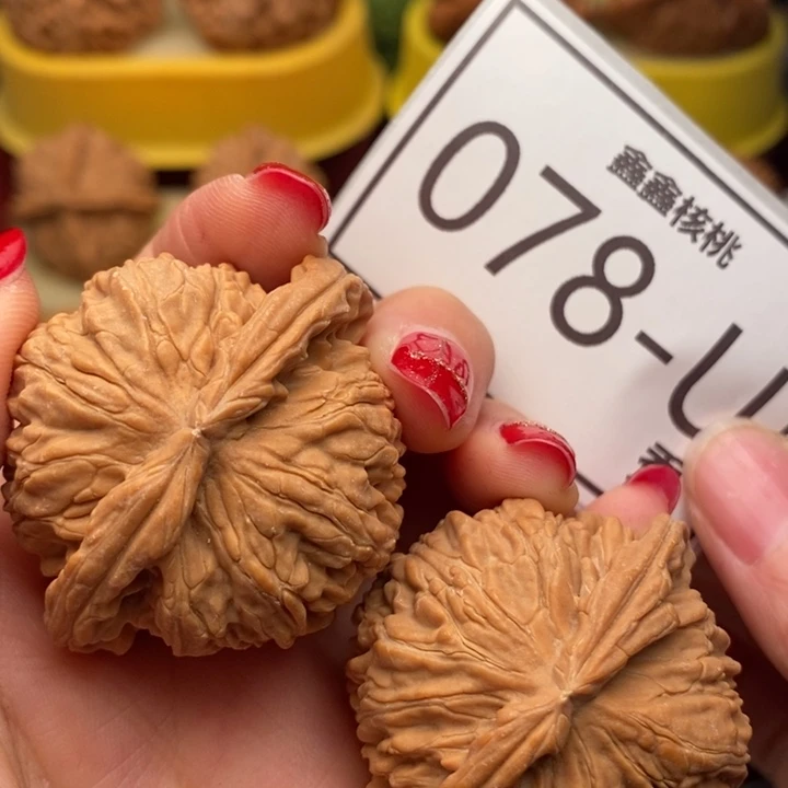 桃核把件白狮子43……