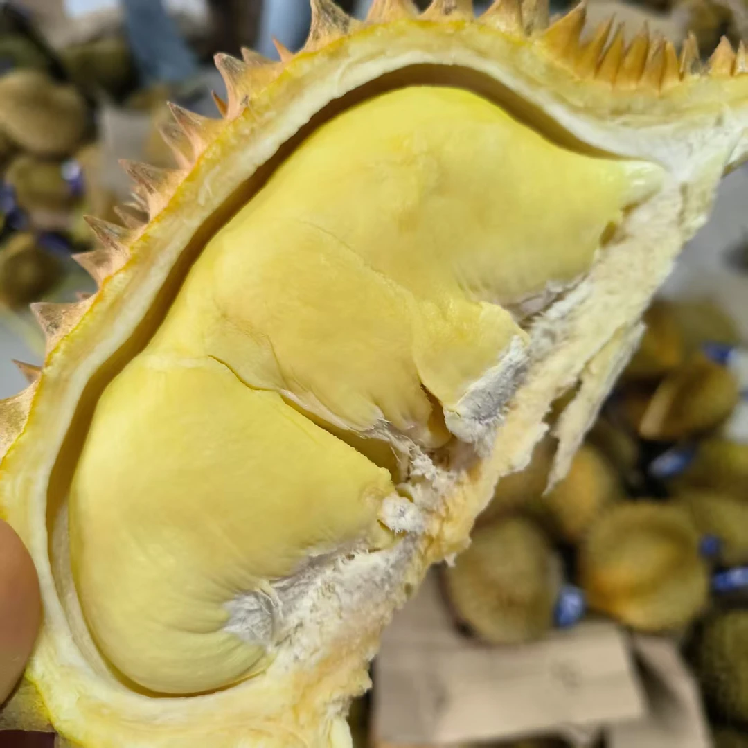【树熟榴莲】树熟越南金枕榴莲  鲜果榴莲   整果发货保4房➕