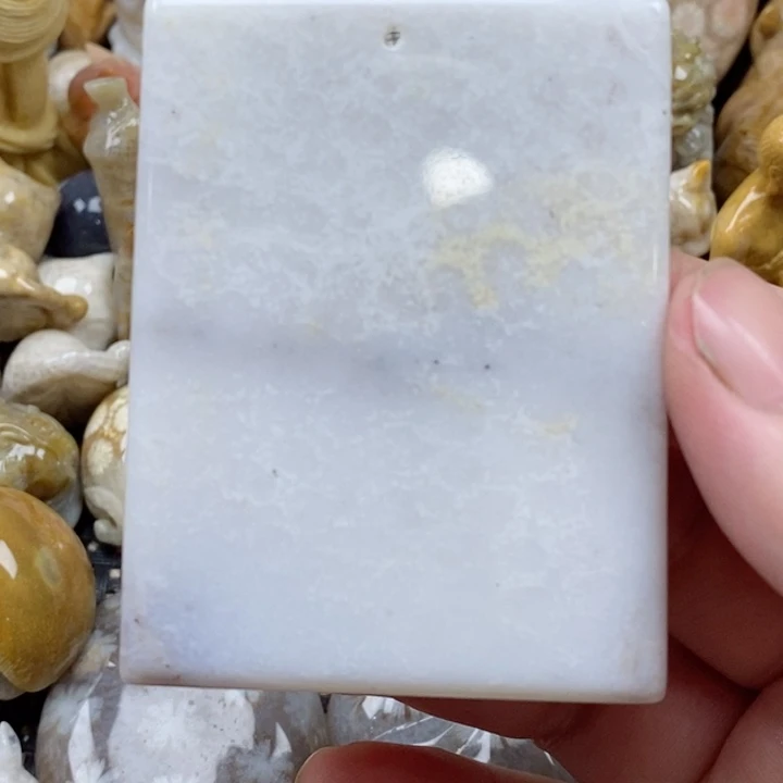 颈饰未镶嵌硅化珊瑚（珊瑚玉）