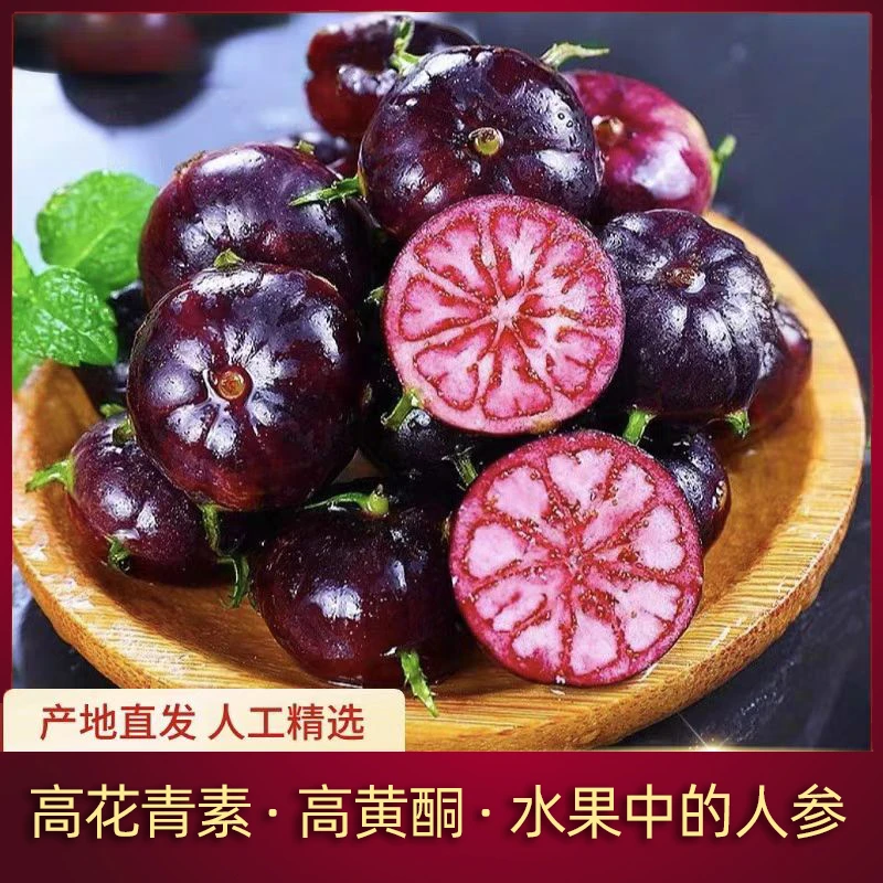 云南红果参脆甜多汁花青素稀有水果新鲜采摘包邮