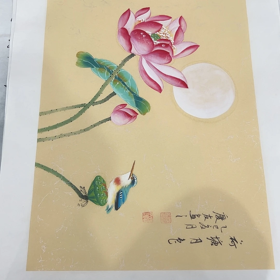 新号开播领福利哦了