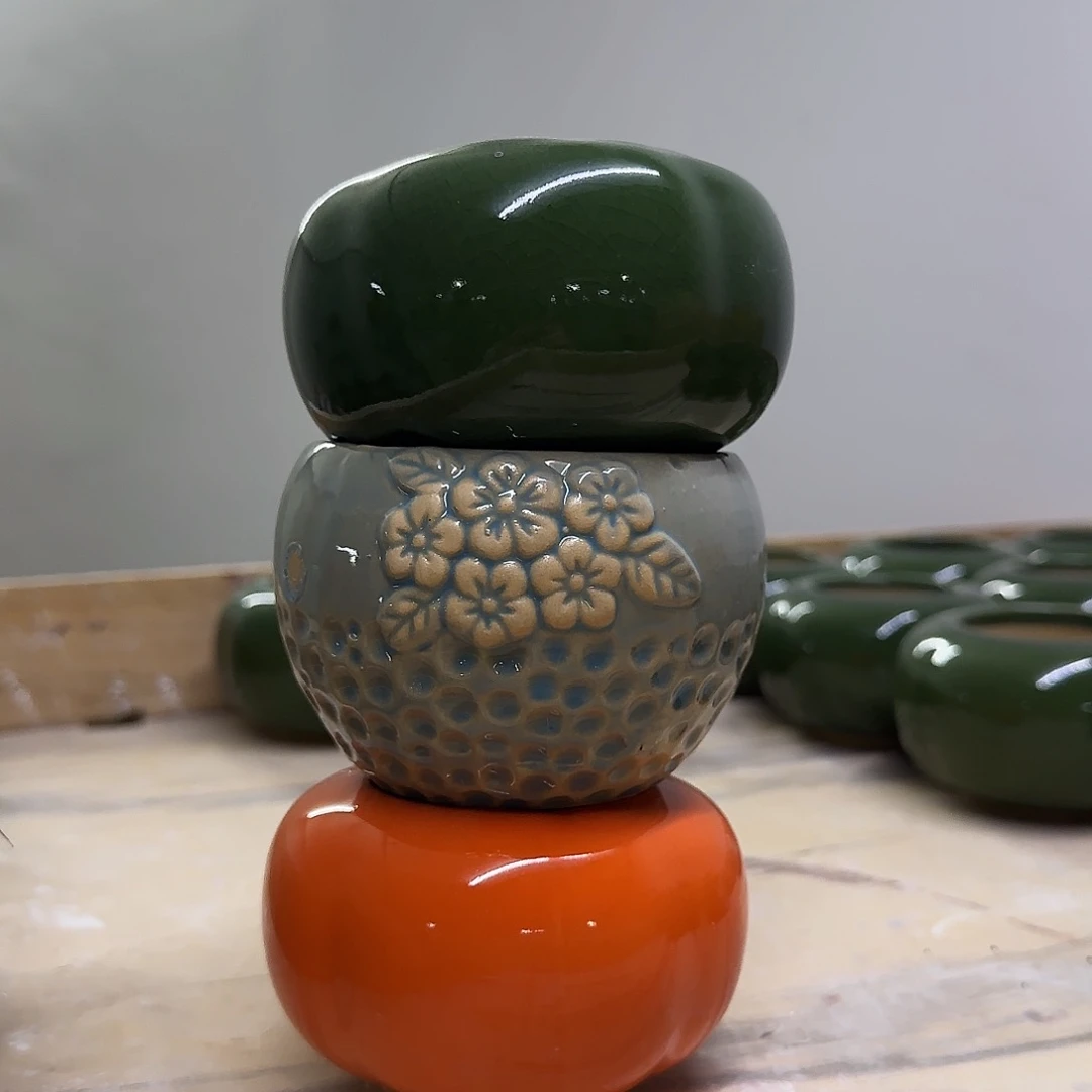 3个福利局绿植多肉盆［凑9元包邮24小时发］