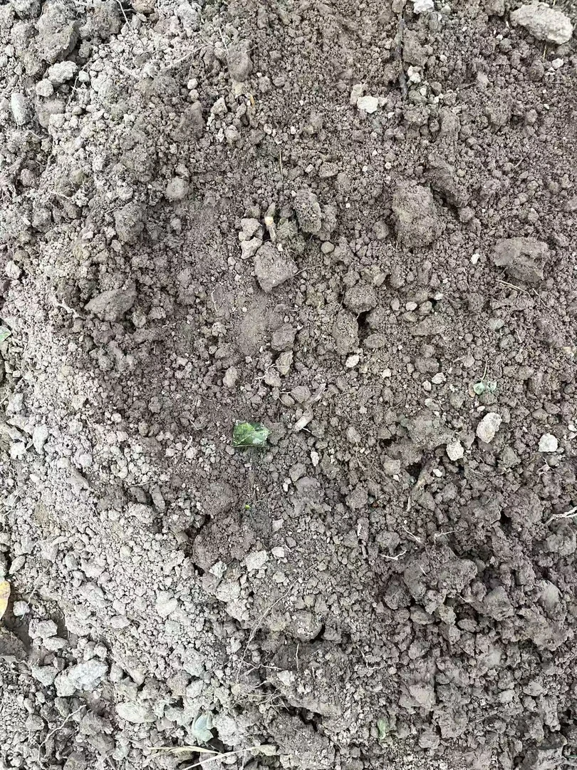 田园土腊梅花海棠花专用土