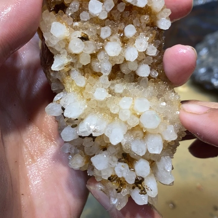 未镶嵌玛瑙/玉髓珠宝半成品