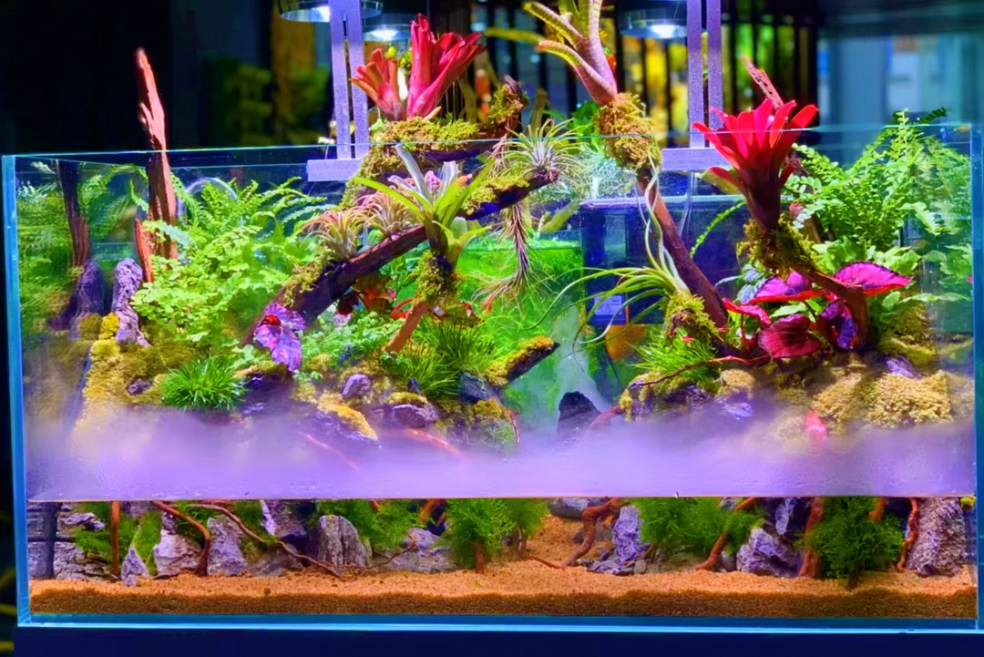 水陆缸，微景观，加湿器，定制缸