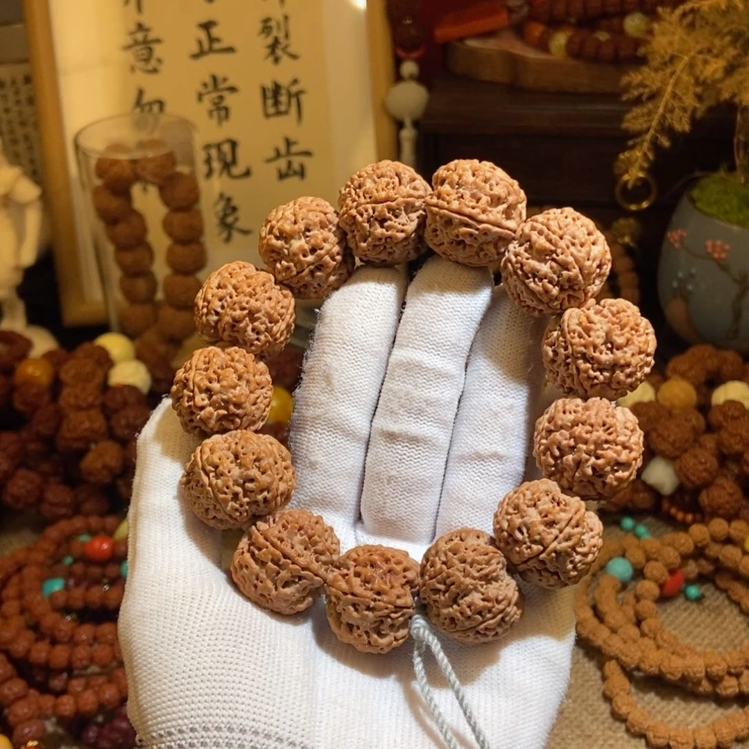 金刚菩提手串256原籽一物一图P