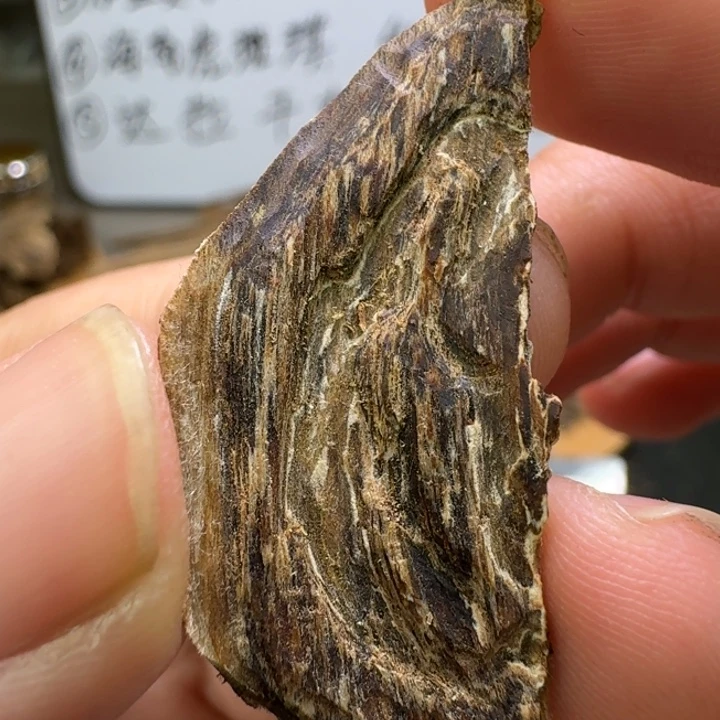 海南虎斑棋爆发强，生闻花甜香0.8克