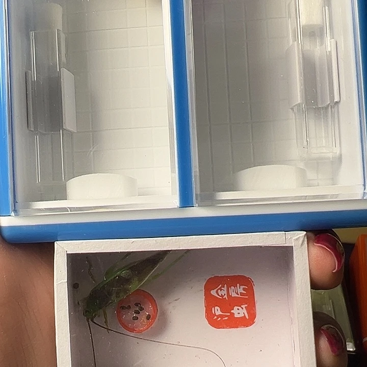 泰***勒蟋蟀哈哈哈哈哈哈哈哈哈哈哈哈