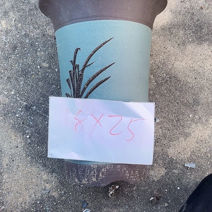 花盆紫砂111111111