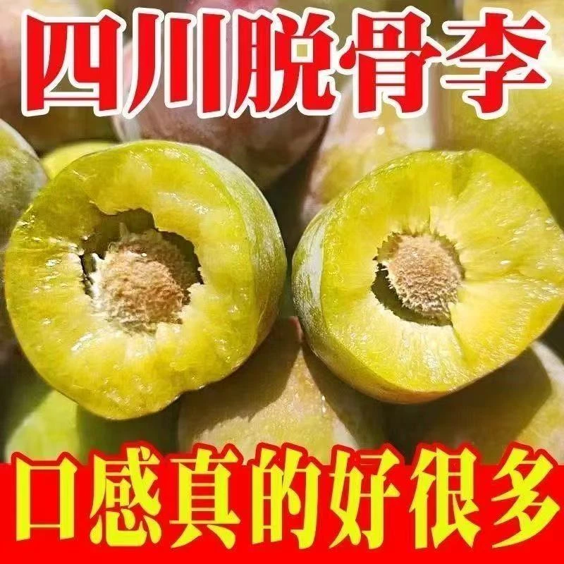 四川正宗脱骨李半边红茵红李空心李当季新鲜水果包邮