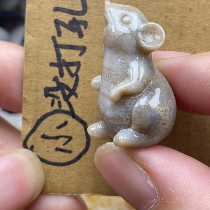 硅化珊瑚（珊瑚玉）未镶嵌颈饰