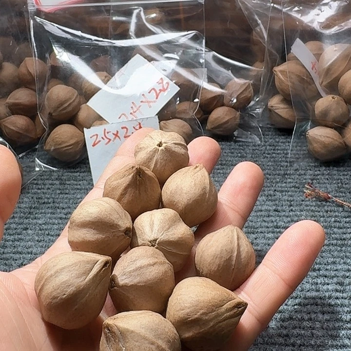 吊坠橄榄核任*币2.5❌2.9