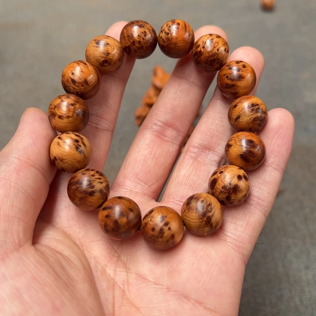 柏木（崖柏）北太行陈化崖柏