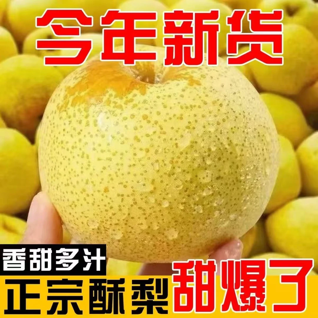 《助农砀山梨》正宗古树砀山酥梨皮薄核小脆甜多汁新鲜现摘应季水果