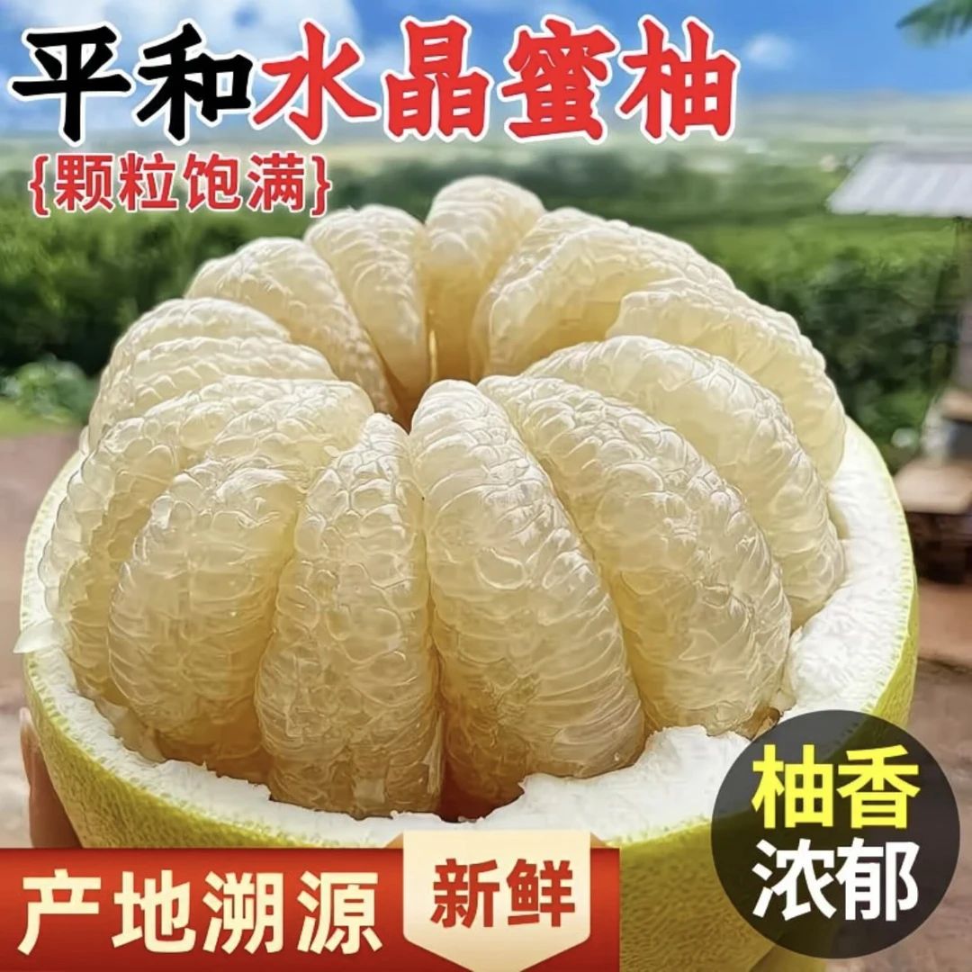 FD【老树琯溪白心蜜柚】福建平和柚子白蜜柚水晶当季新鲜水果XZD