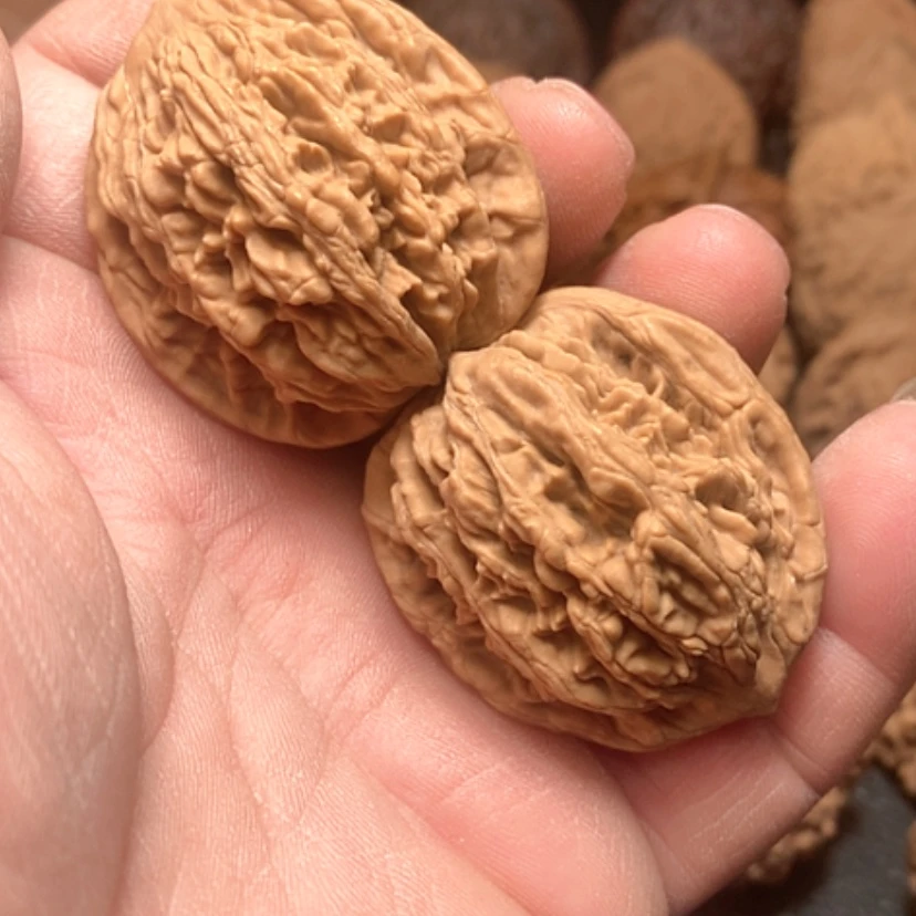 【闪购商品】?**?麦穗虎