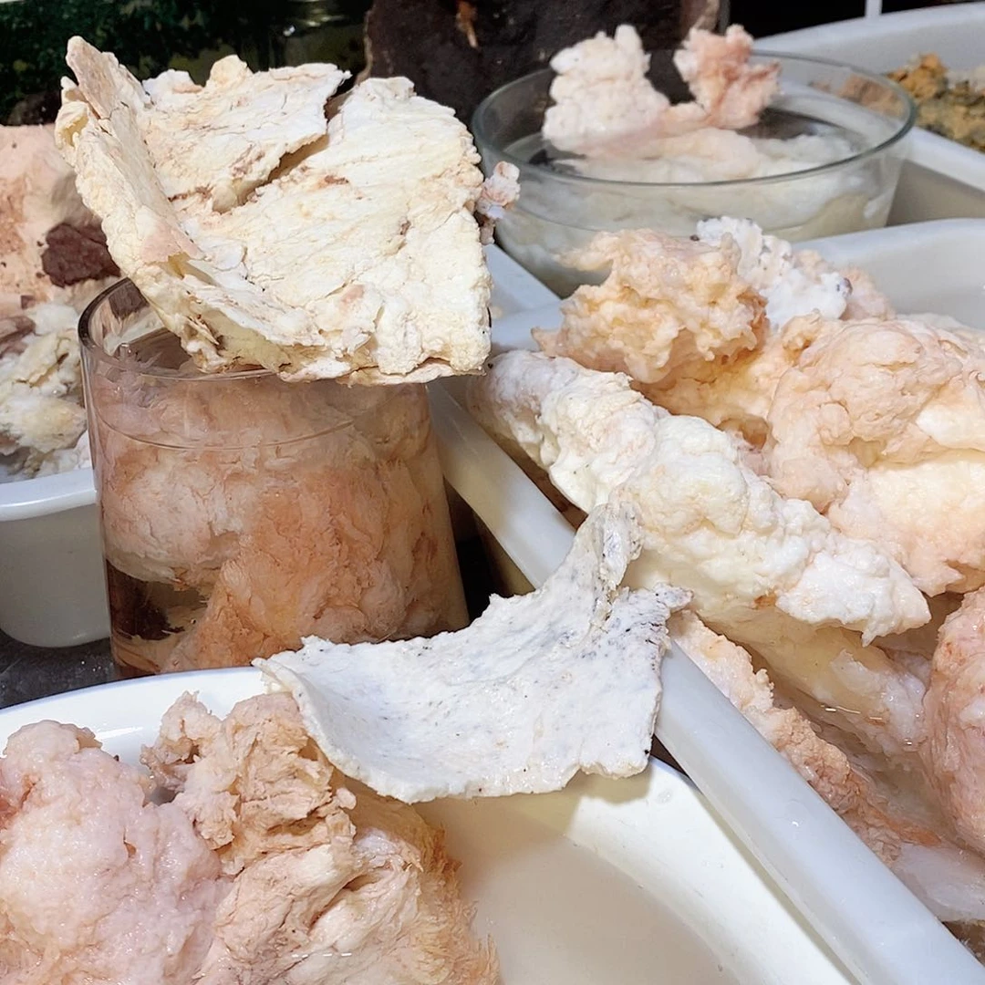 小***8有机玻璃长白山石太岁肉灵芝