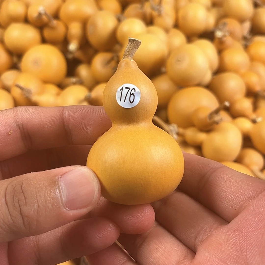 二葫芦葫芦葫芦葫芦176