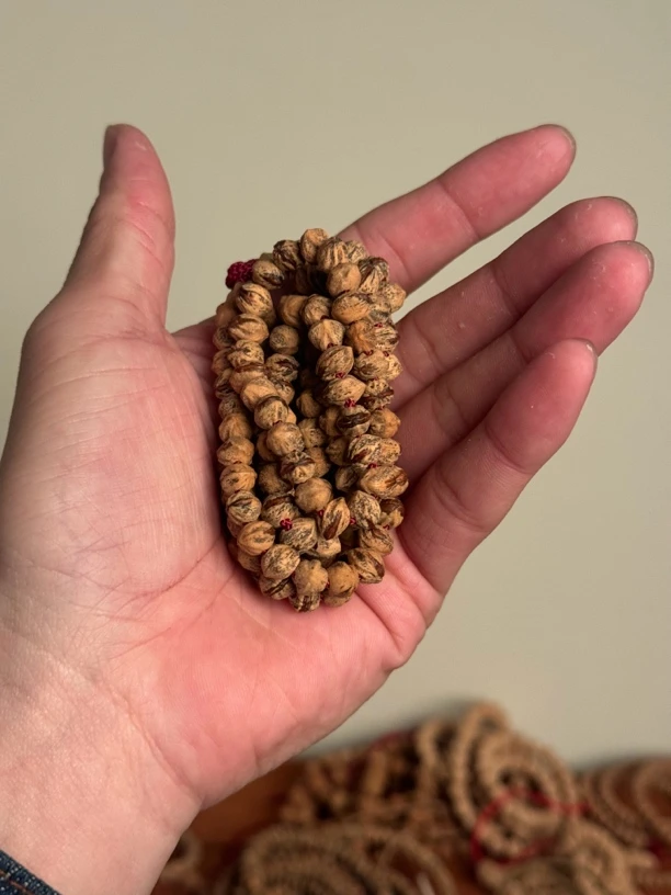 热振柏香籽红芽横打108