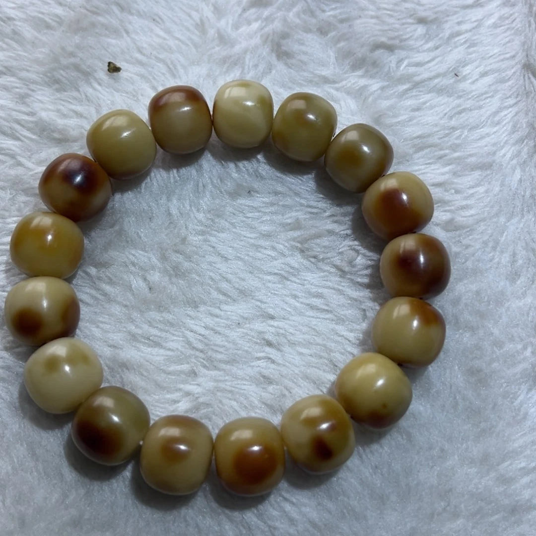 吊坠菩提根/象牙果小油画卡15全