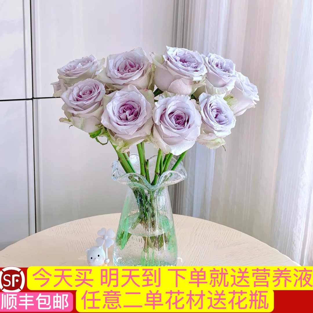 10支海洋之心紫色系单头玫瑰鲜花今天买明天到顺丰包邮送花上门