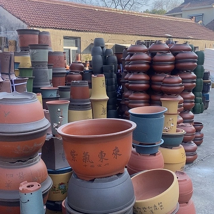 紫砂花盆盆栽花卉苗木种植