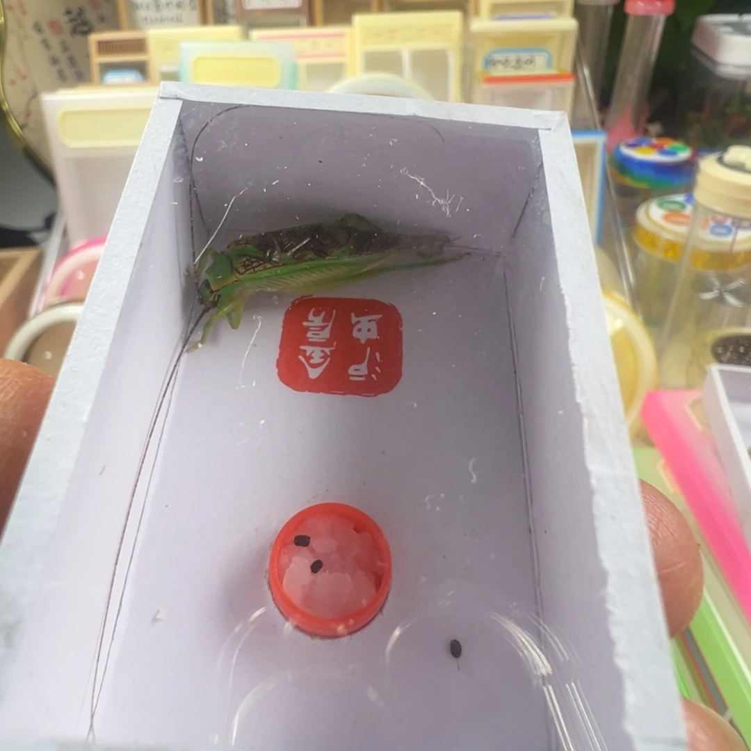 蟋蟀一只长须霍氏