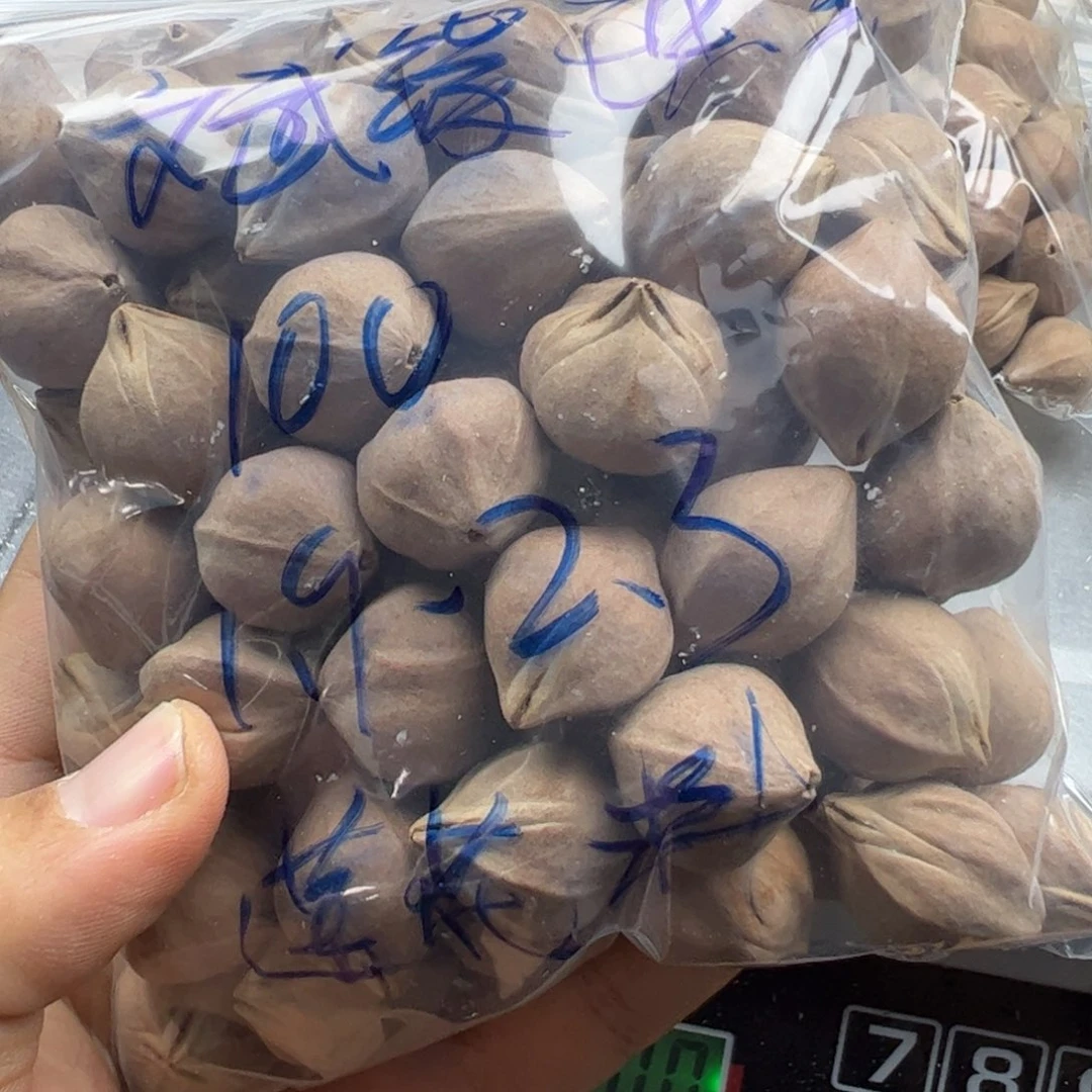 斌***宝手串/手链橄榄核1.9-2.3+的莲花料子橄榄核原料半斤多