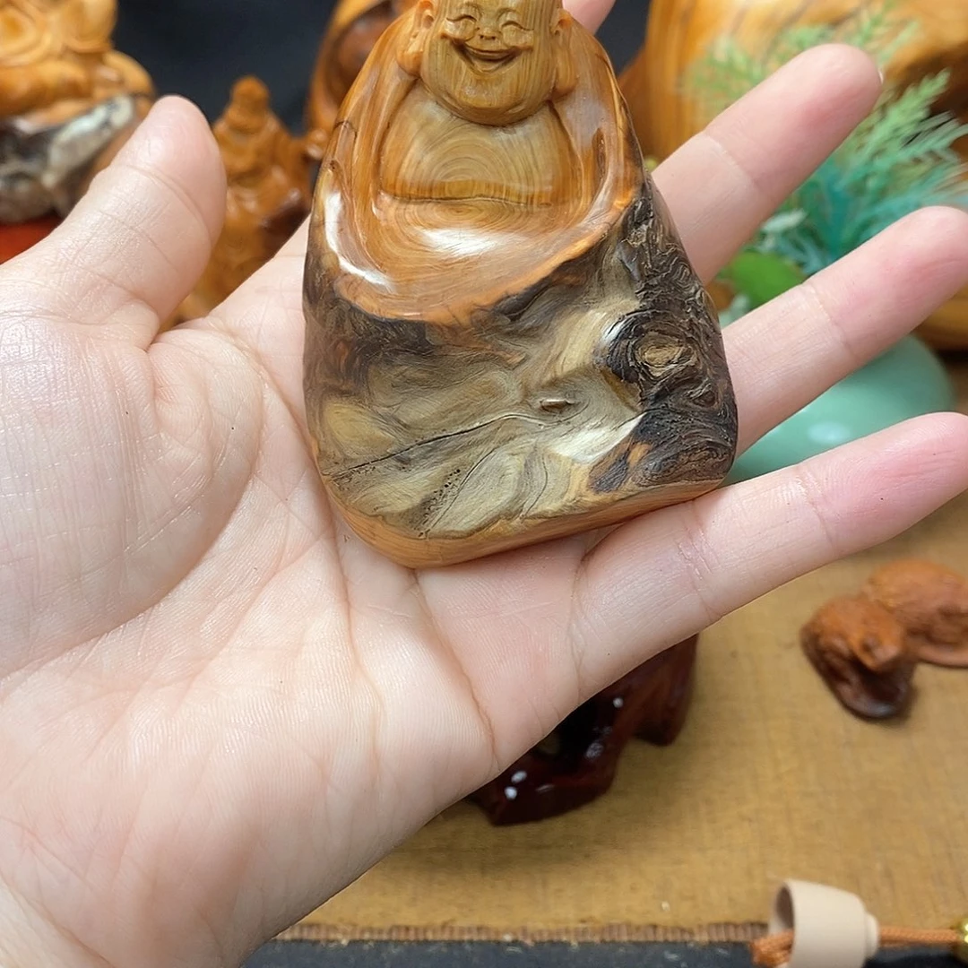 柏木（崖柏）一物一图