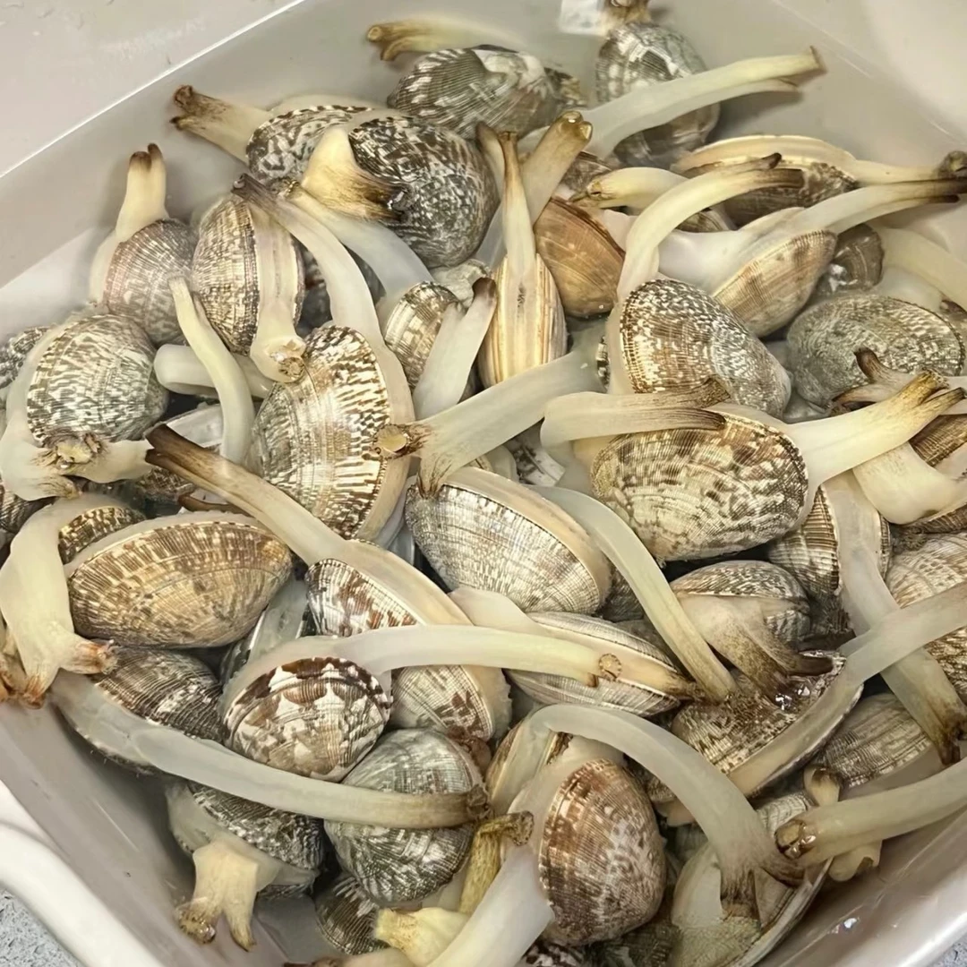 无沙 大花甲10元 一斤贝壳