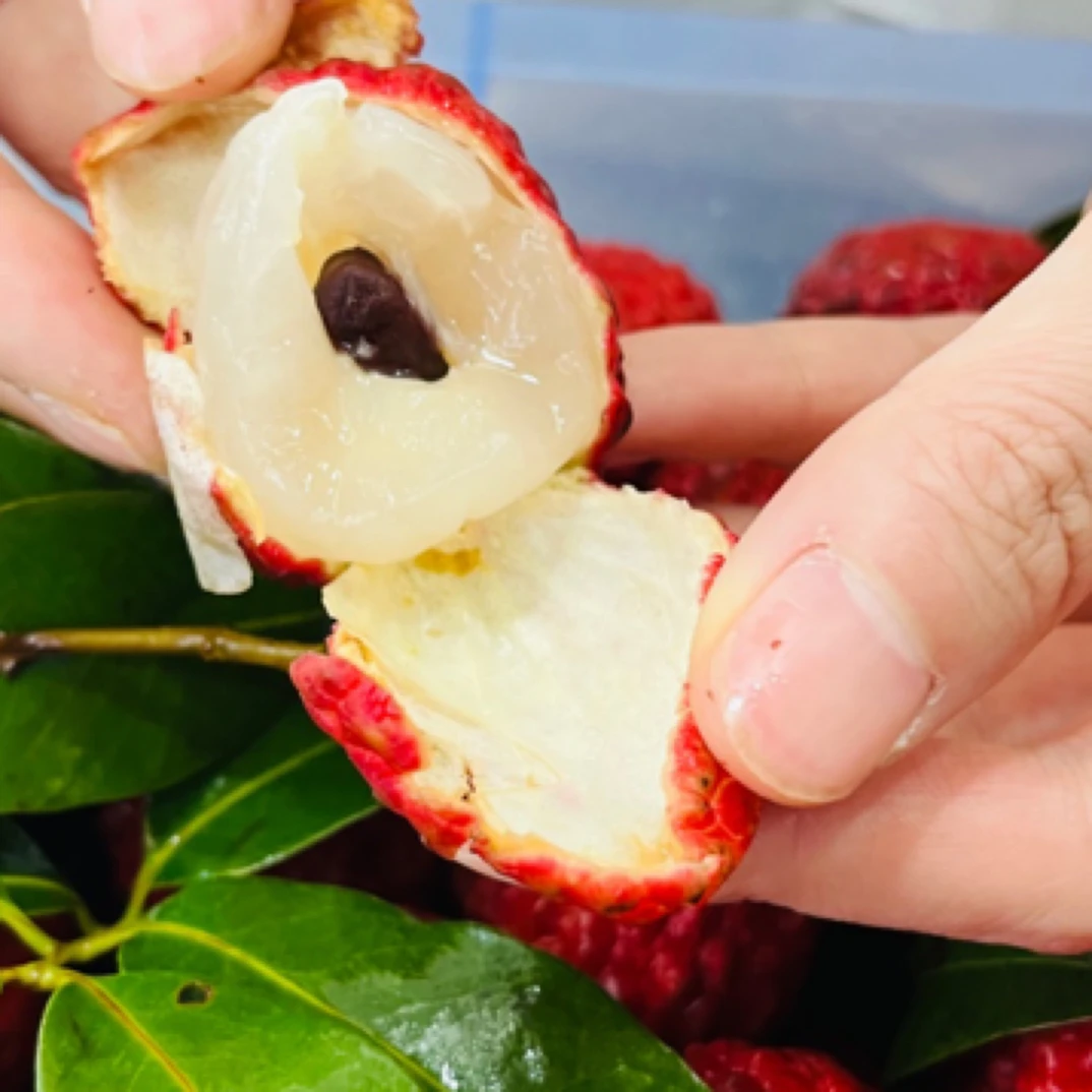 仙进奉荔枝 白如凝脂肉多鲜嫩 一口下去满嘴爆汁海南省