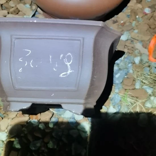 紫砂花盆放漏大促销