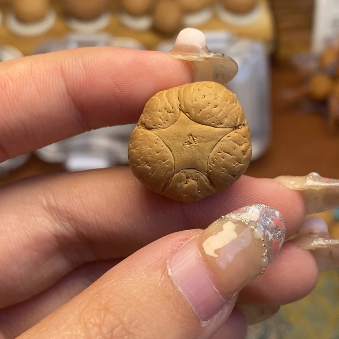 吊坠凤眼菩提五星