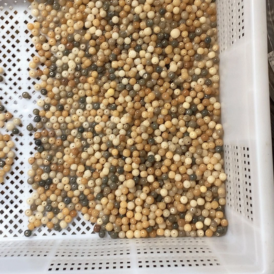 吊坠菩提根/象牙果