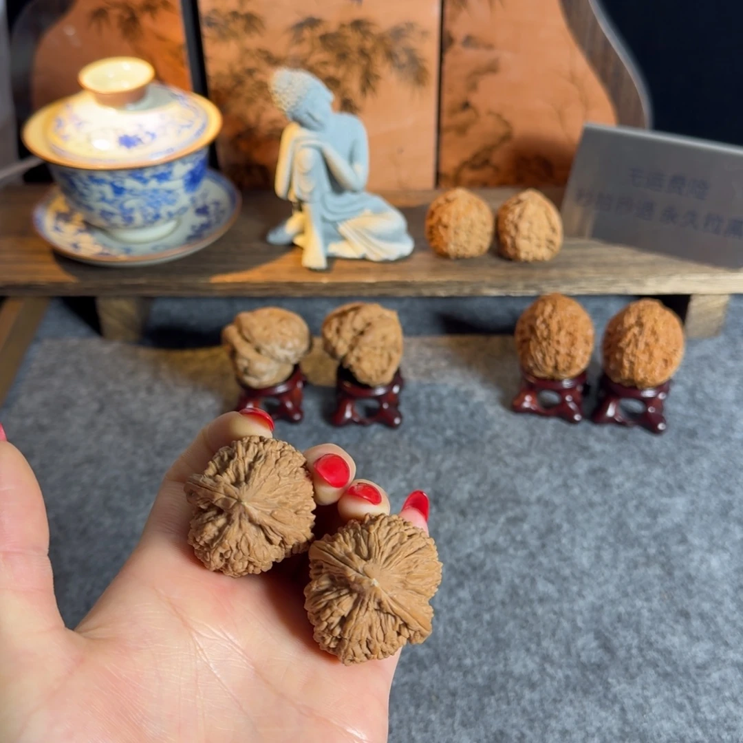 全品37蒜头白茬宝瓶狮子头