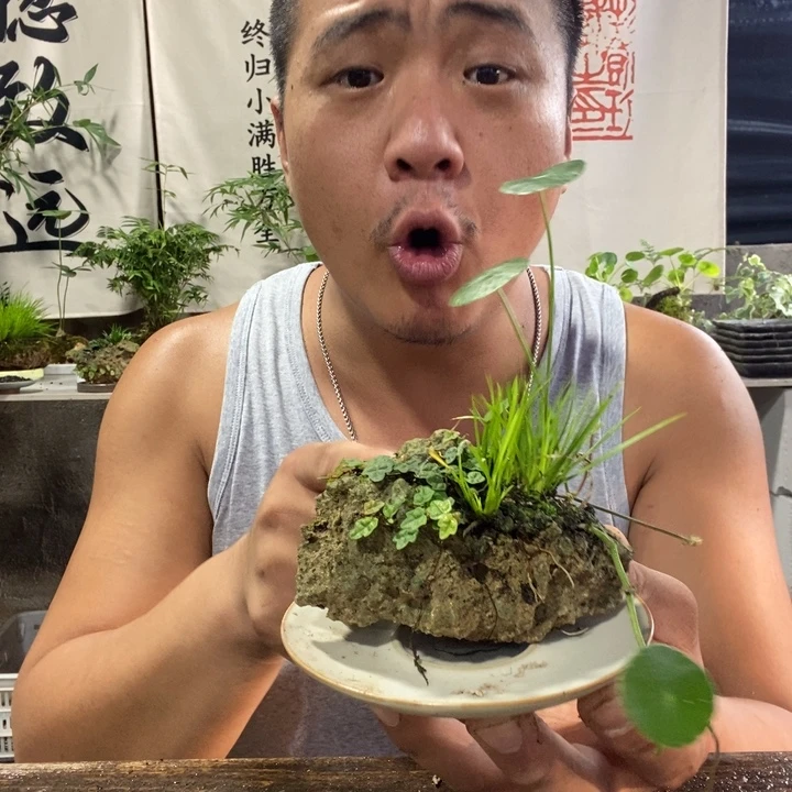 无花朵退款拉黑拉黑55