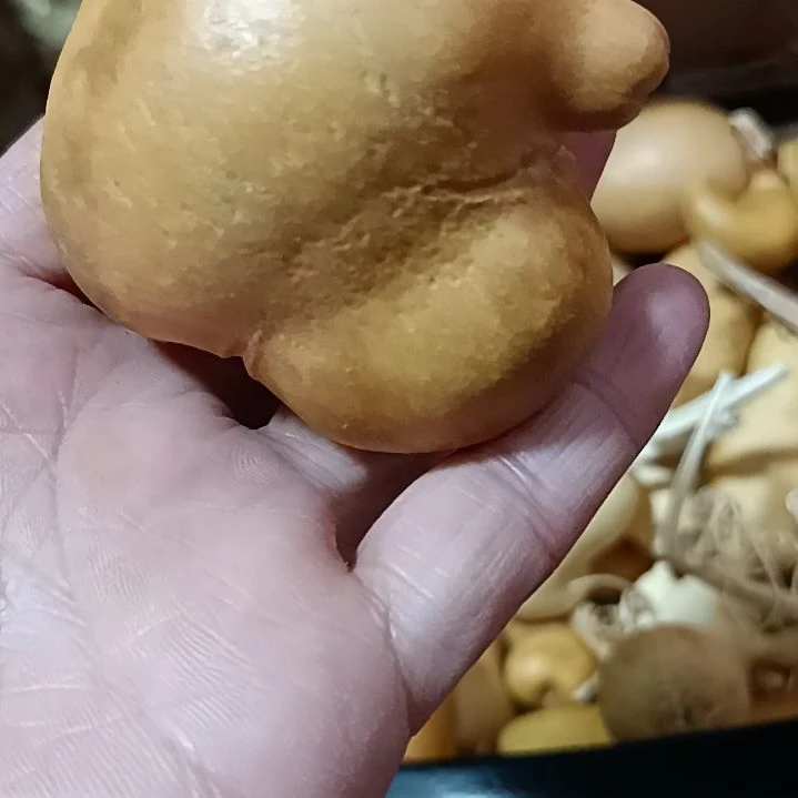 听*?葫芦葫芦葫芦葫芦葫芦