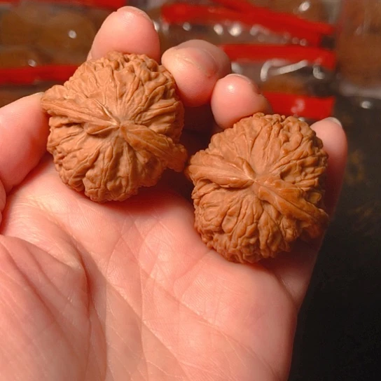 文玩核桃把件白狮子36