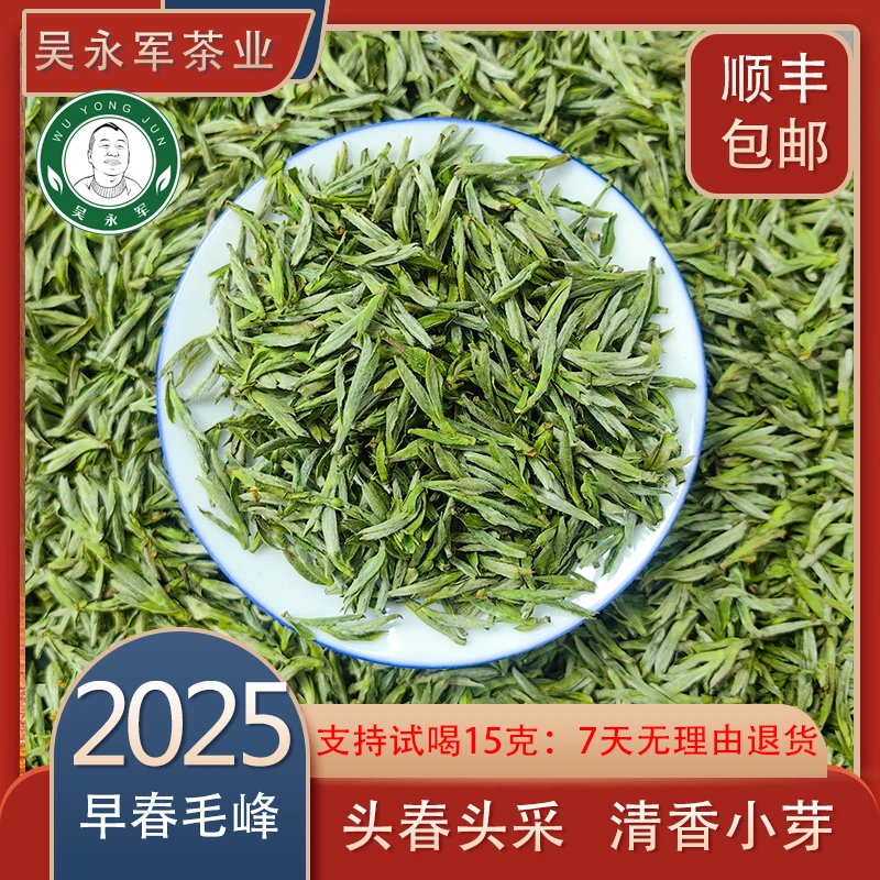 2025春茶头采新茶四川峨眉山早春毛峰清香小芽试喝装