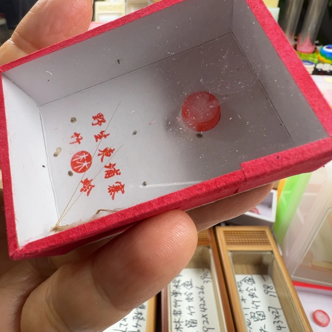 蕊***蟋蟀三只柬埔寨竹