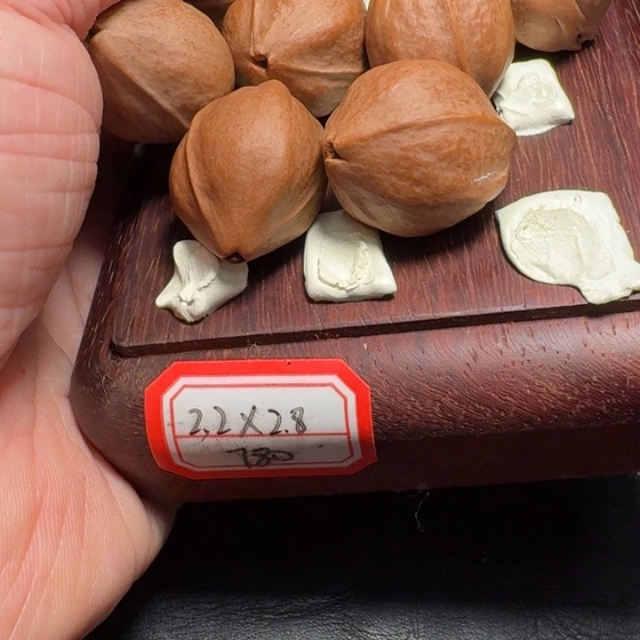 橄榄核吊坠一****地梅林铁核