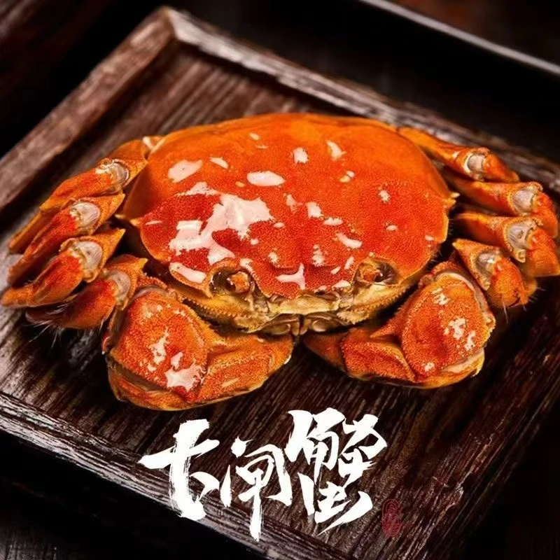 【活蟹】洪泽湖大闸蟹母蟹2.4-2.7两/只母蟹当天捕捞顺丰