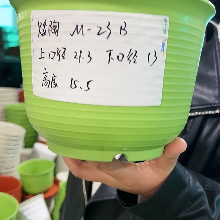正品矮陶口21高13果绿色8个无托