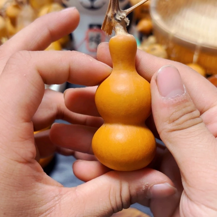 蛤**子8888888888888888