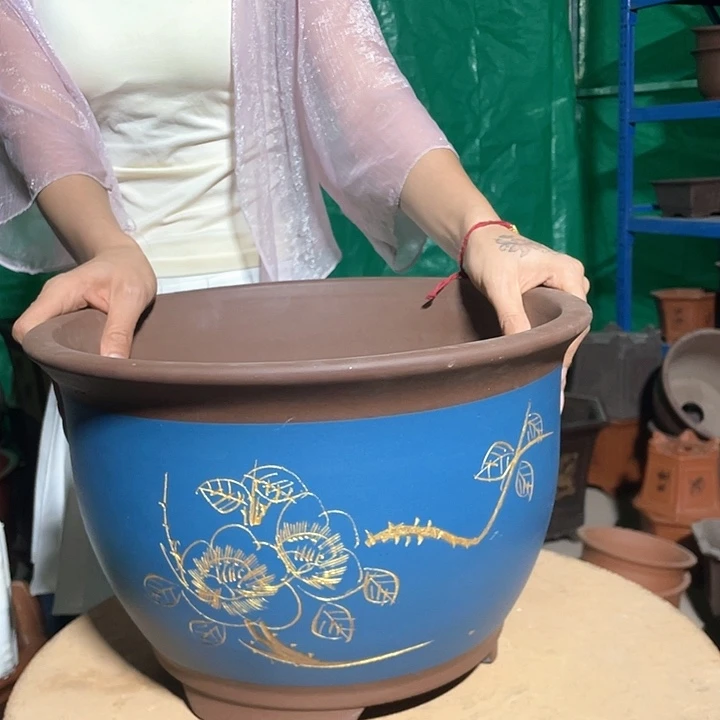 35蓝牡丹花盆红花盆花盆