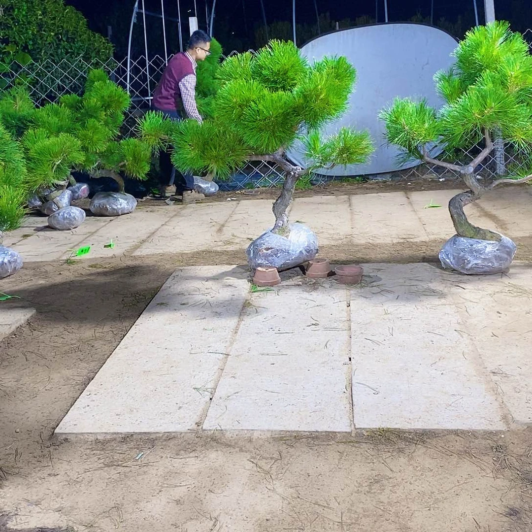 雨***沾完全开放11111111111