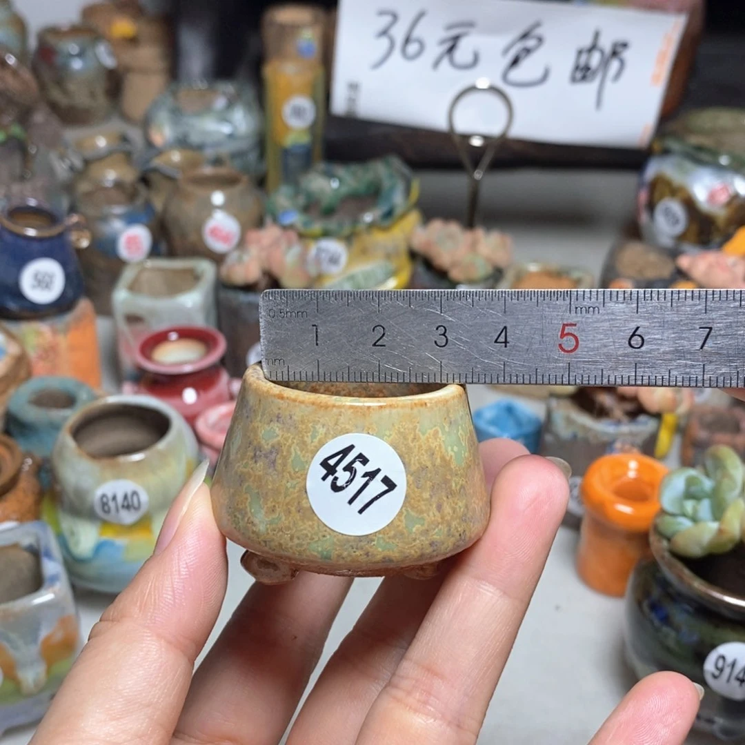 拍5送一个小礼物
