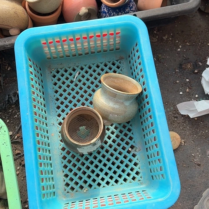 可***主vj d de j ge a f gy 052