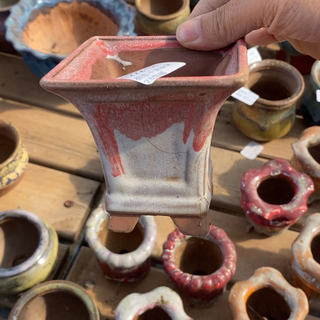 58号多肉盆口径8小可爱