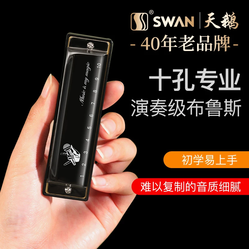 天鹅十孔布鲁斯口琴正品10孔初学者入门蓝调儿童C调专业演奏paddy